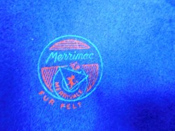 blue hat green feather stamp
